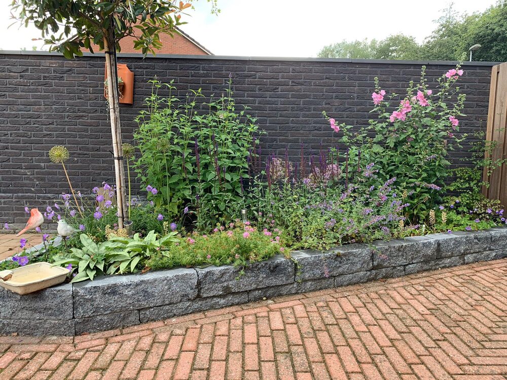 Anker 1, 9732 HV Groningen - € 225.000 k.k. - ben-s Makelaars Groningen