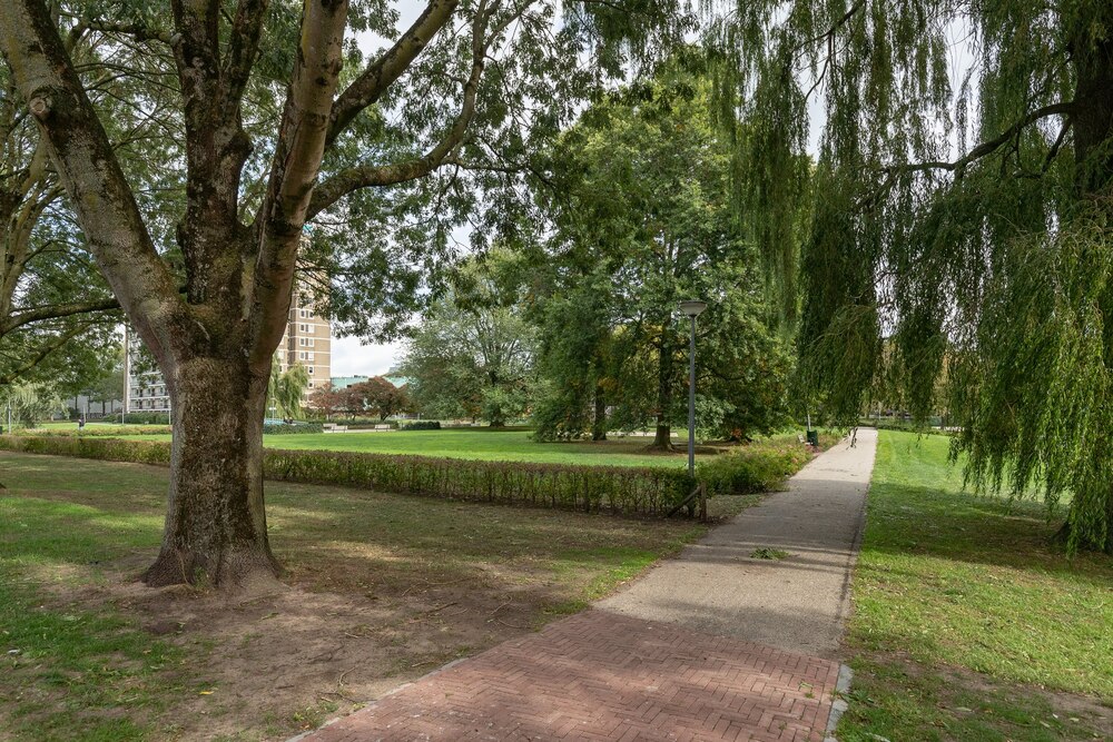 Bilderdijklaan 7, 9721 PP Groningen - € 159.000 k.k. - ben-s Makelaars Groningen