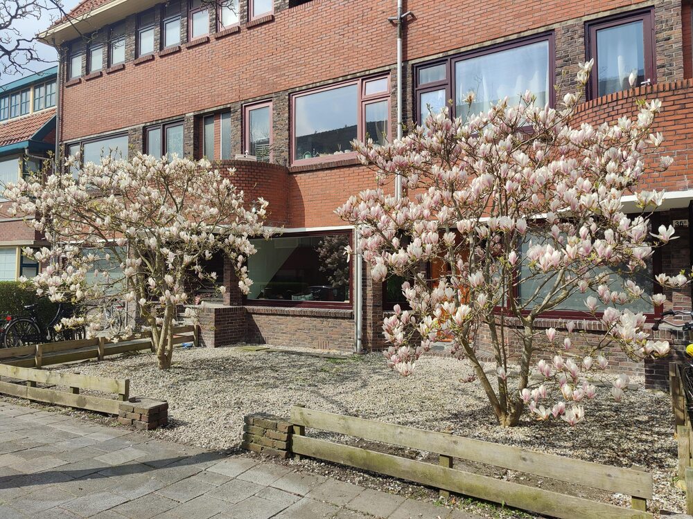 Celebesstraat 36, 9715 JH Groningen - € 319.500 k.k. - ben-s Makelaars Groningen