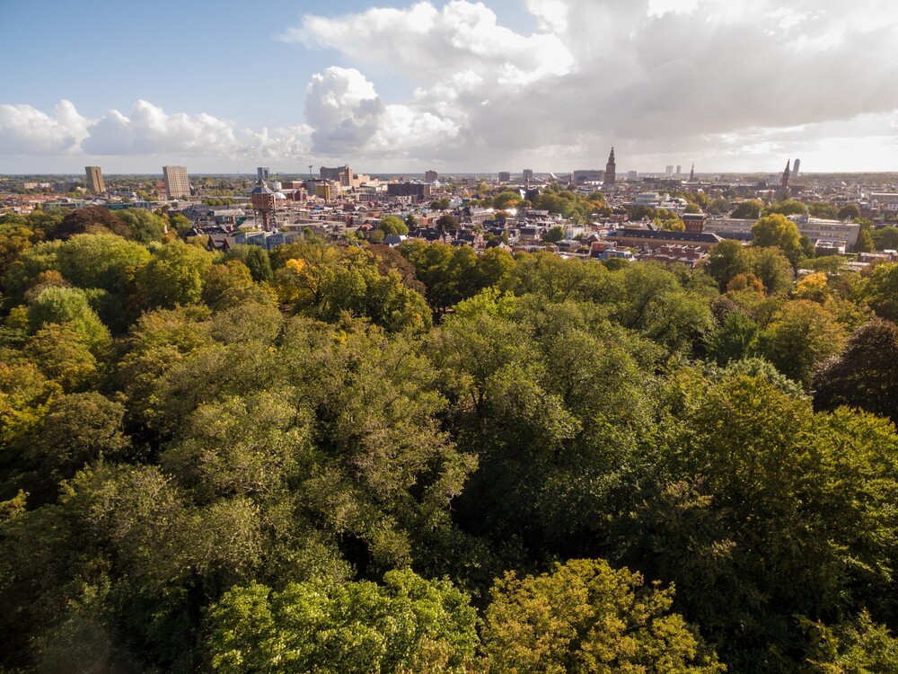 Kleine Grachtstraat 6, 9717 HM Groningen - € 239.500 k.k. - ben-s Makelaars Groningen