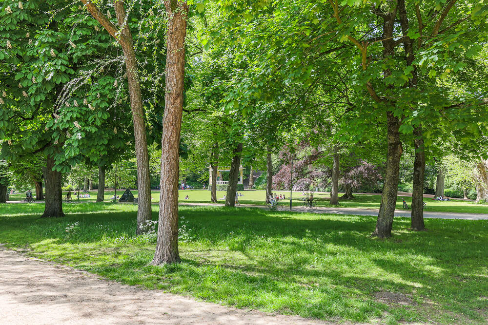 Nieuwe Kijk in Het Jatstraat 113, 9712 SG Groningen - € 289.000 k.k. - ben-s Makelaars Groningen