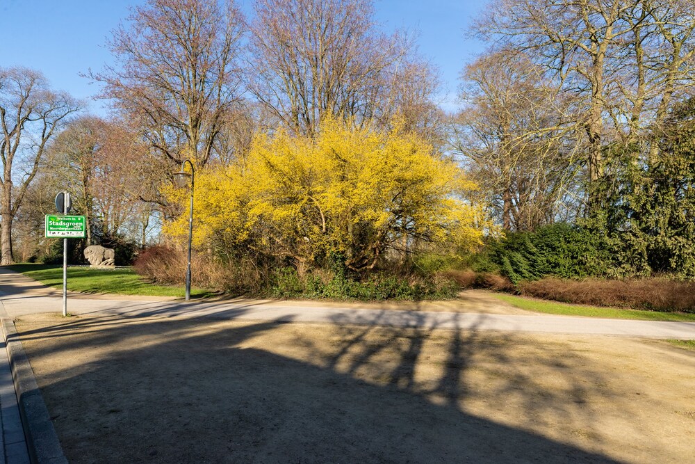 Noorderbinnensingel 19, 9712 XB Groningen - € 189.500 k.k. - ben-s Makelaars Groningen