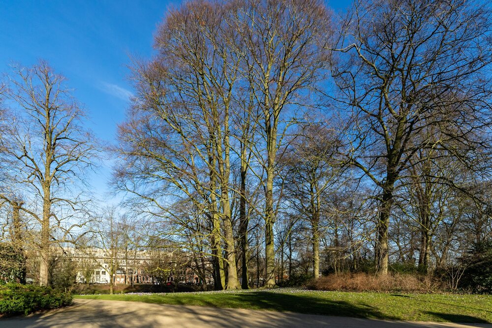 Noorderbinnensingel 19, 9712 XB Groningen - € 189.500 k.k. - ben-s Makelaars Groningen