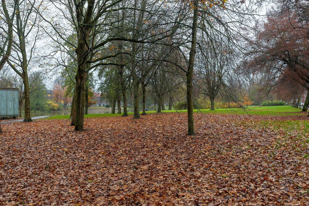 Pioenstraat 29, 9713 XP Groningen - € 175.000 k.k. - ben-s Makelaars Groningen