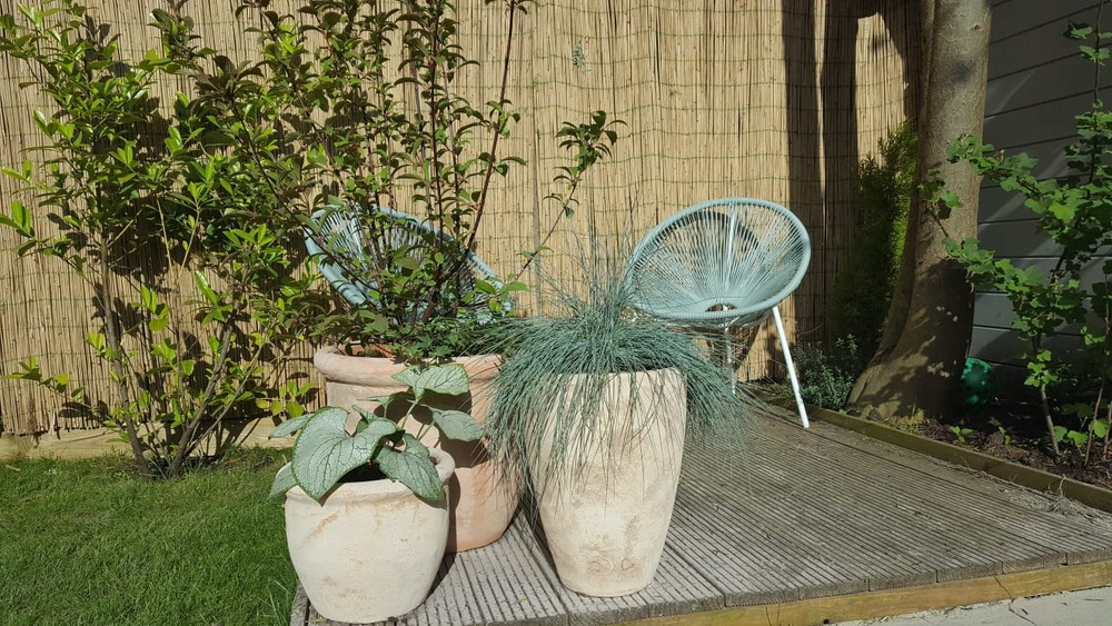 Witte de Withstraat 20, 9726 ED Groningen - € 200.000 k.k. - ben-s Makelaars Groningen