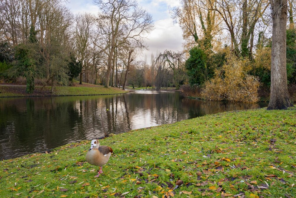 Plantsoenstraat 25, 9717 KT Groningen - € 315.000 k.k. - ben-s Makelaars Groningen