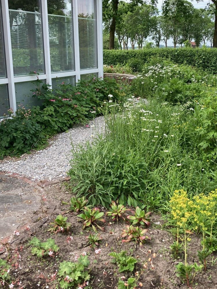 Dobbestraat 2, 9795 PG Woltersum - € 419.000 k.k. - ben-s Makelaars Groningen