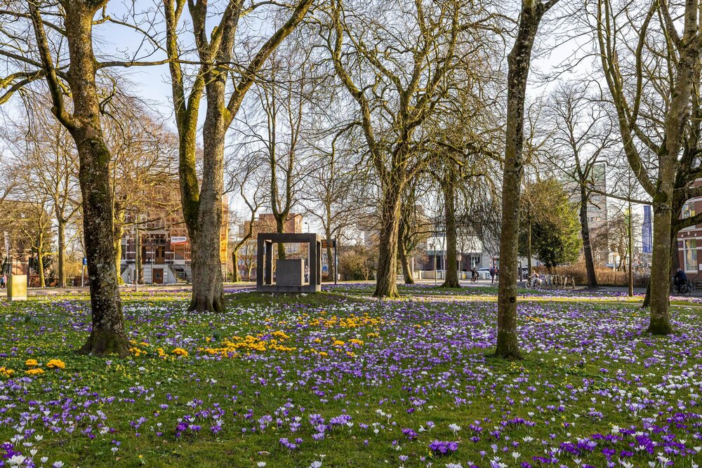 Stationsstraat 14c, 9711 AS Groningen - € 275.000 k.k. - ben-s Makelaars Groningen