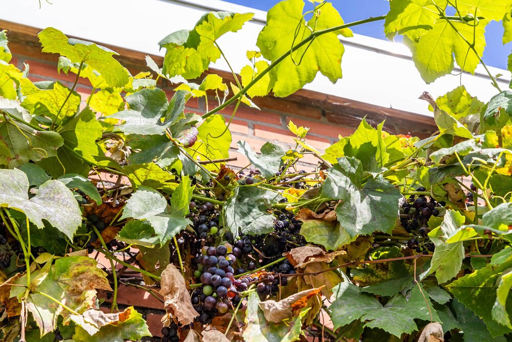 Bij de Sluis 4, 9726 AN Groningen - € 295.000 k.k. - ben-s Makelaars Groningen