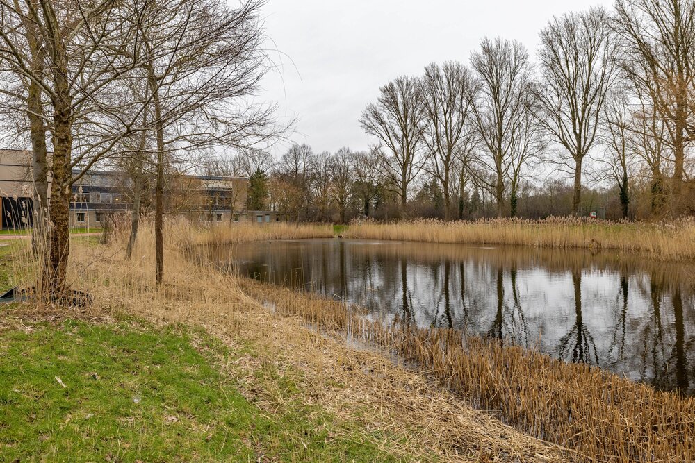 Hora Siccamasingel 3, 9721 HA Groningen - € 250.000 k.k. - ben-s Makelaars Groningen