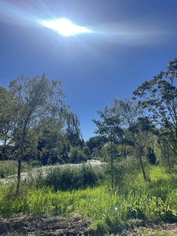 Hora Siccamasingel 3, 9721 HA Groningen - € 250.000 k.k. - ben-s Makelaars Groningen