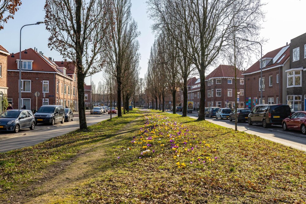 Prinsesseweg 63a, 9717 BC Groningen - € 325.000 k.k. - ben-s Makelaars Groningen