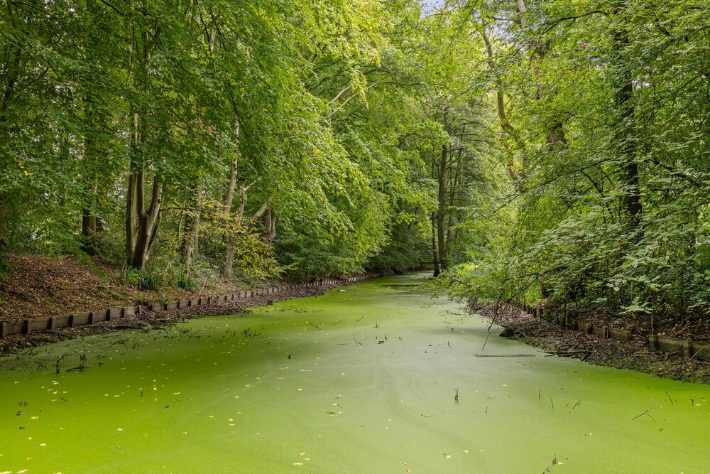 Thorbeckelaan 38, 9722 ND Groningen - € 300.000 k.k. - ben-s Makelaars Groningen